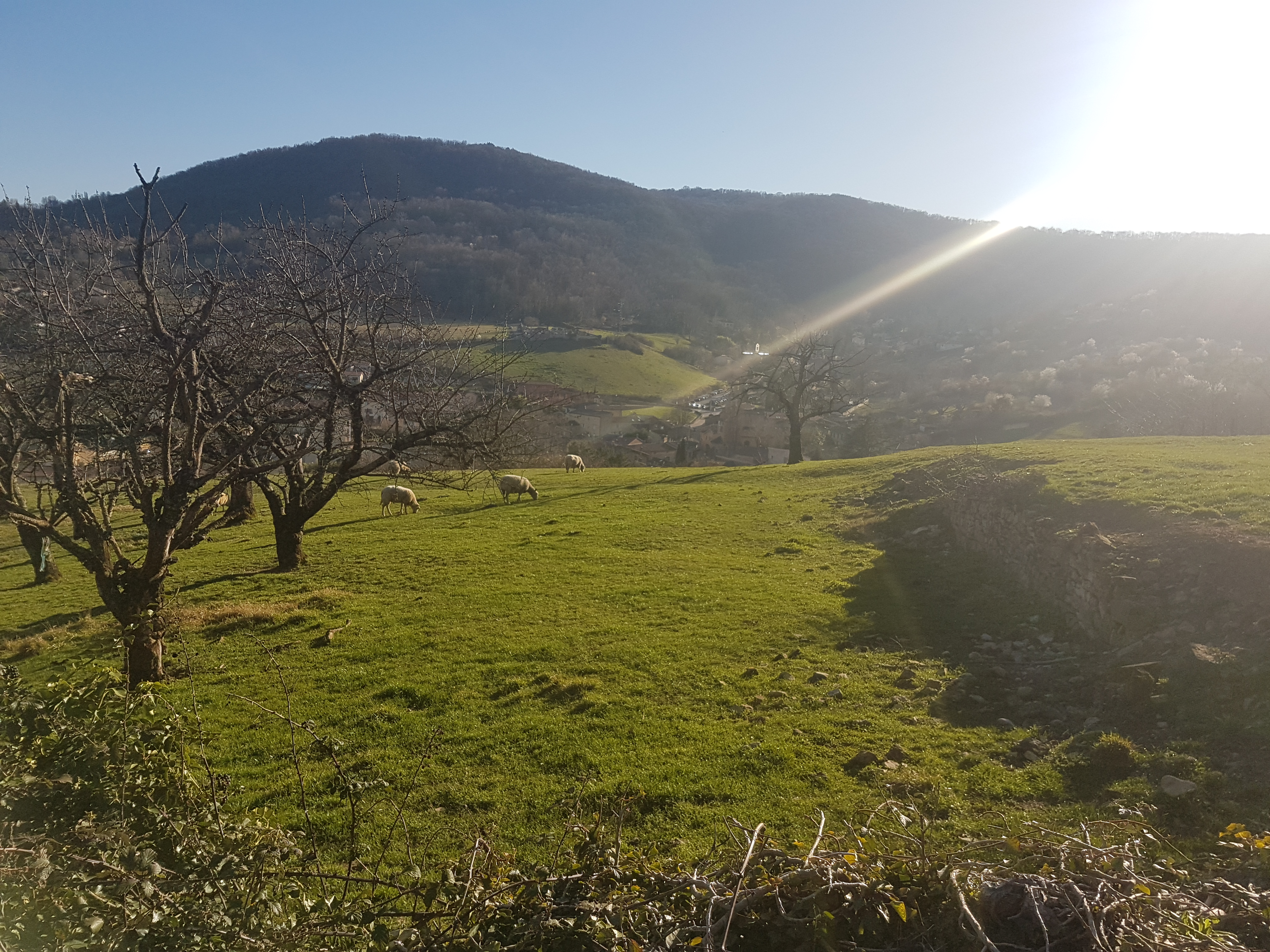Mont d’Or